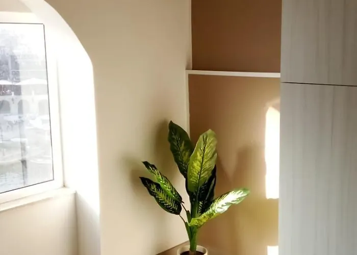 The Rose Hostel Saint Julian's