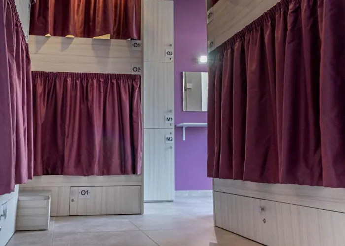 The Rose بيت شباب *