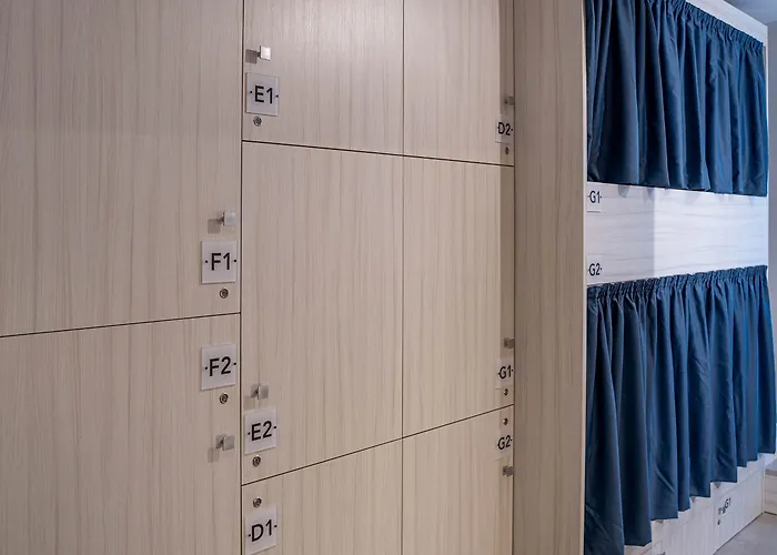 The Rose بيت شباب *